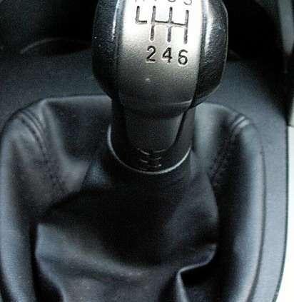 Hiszpańska mucha dla całej rodziny