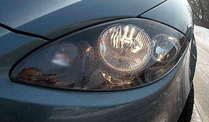 Hiszpańska mucha dla całej rodziny