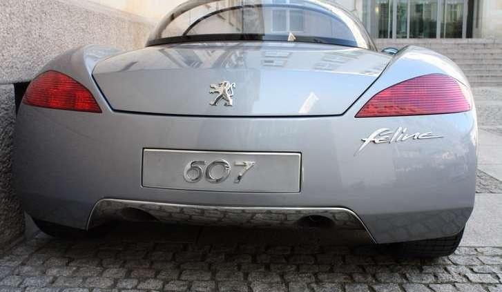 Peugeot 607 Feline - napotkana gwiazda
