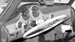 Mercedes 300 SL W198 - pełny panel przedni