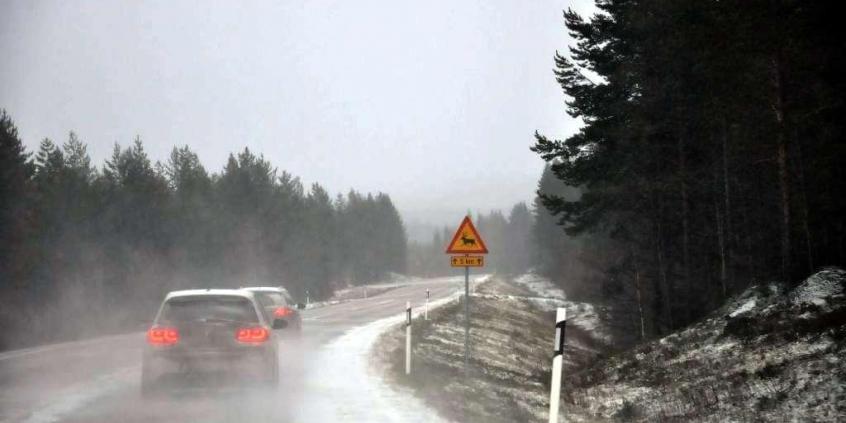 Wyprawa na Nordkapp Volkswagenami 4Motion - dzień pierwszy