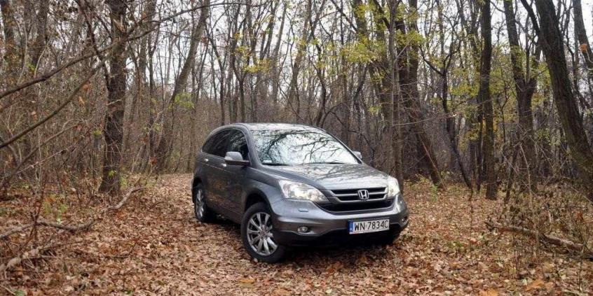 Honda CR-V - pozycja ugruntowana