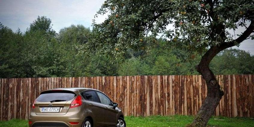 Ford Fiesta - z kaczki w łabędzia
