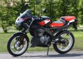 Aprilia Tuono 50