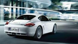 Porsche Cayman S - ultraszybki drapieżca