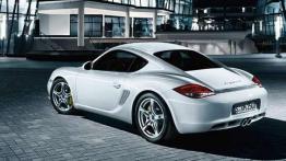 Porsche Cayman S - ultraszybki drapieżca