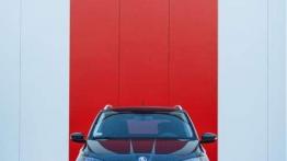 Skoda Fabia Combi 1,2 TSI Edition - marzenie działkowca