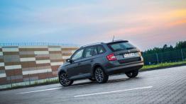 Skoda Fabia Combi 1,2 TSI Edition - marzenie działkowca