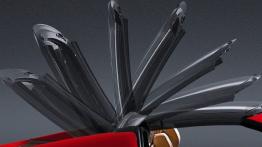 Ferrari 575M Maranello Superamerica - dach