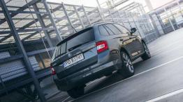 Skoda Fabia Combi 1,2 TSI Edition - marzenie działkowca