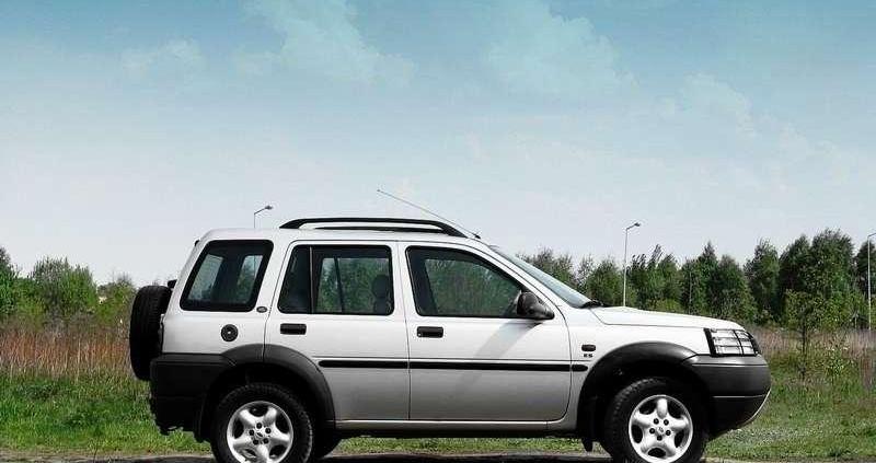 Freelander - rynkowa okazja?