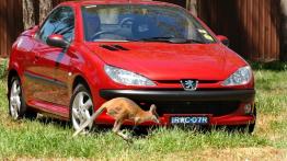 Peugeot 206 CC - przód - reflektory wyłączone