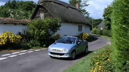 Peugeot 206 CC - widok z przodu
