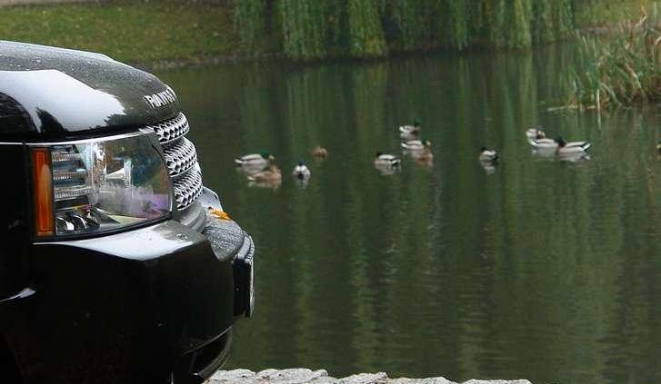 Niech inni zazdroszczą!