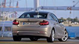 BMW M2 zatwierdzone do produkcji - debiut wkrótce