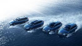 Volvo V60 Ocean Race - dach
