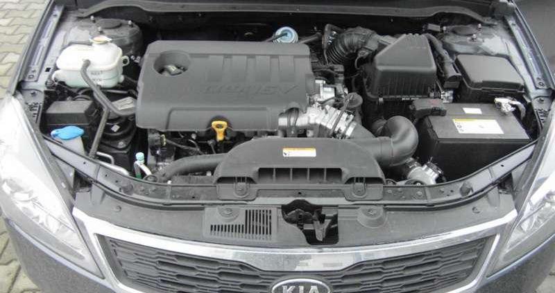 Kia cee'd SW - Eurokoreańczyk