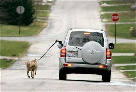 Aktywność fizyczna kierowców