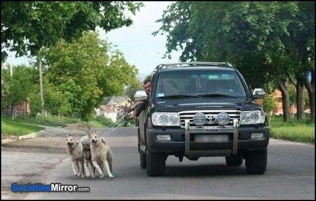 Aktywność fizyczna kierowców