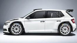 Skoda Fabia R5 wystartuje na polskich oesach