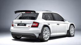 Skoda Fabia R5 wystartuje na polskich oesach