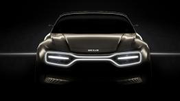 Ta Kia będzie miała aż 21 ekranów dotykowych