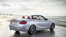 BMW Serii 2 Cabrio na nowych fotografiach