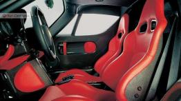 Ferrari Enzo - elitarny wśród elitarnych