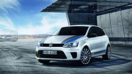 Volkswagen Polo R WRC na nowych zdjęciach