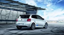 Volkswagen Polo R WRC na nowych zdjęciach