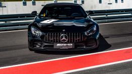 AMG Driving Academy – ujarzmić setki koni mechanicznych
