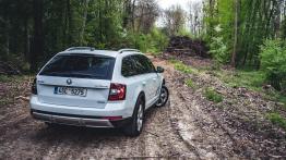 Skoda Octavia RS i Scout po liftingu - co zyskały po zmianach?