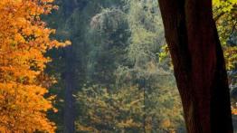 Toyota GT86 Premium - nauka jazdy dla zaawansowanych