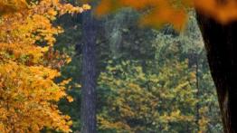 Toyota GT86 Premium - nauka jazdy dla zaawansowanych