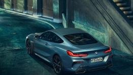 BMW M850i ​​xDrive Coupe First Edition. Jeszcze większy poziom ekskluzywności