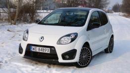 Renault Twingo II - galeria społeczności - widok z przodu
