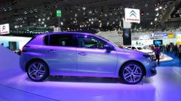 IAA 2013 - nie tylko zaskakujące nowości