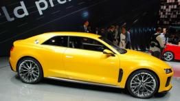 IAA 2013 - nie tylko zaskakujące nowości