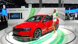 IAA 2013 - nie tylko zaskakujące nowości