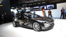 IAA 2013 - nie tylko zaskakujące nowości