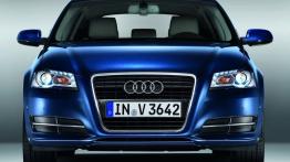 Audi S3 Sportback - widok z przodu