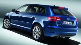 Audi S3 Sportback - widok z tyłu
