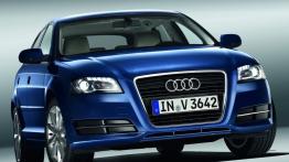 Audi S3 Sportback - widok z przodu