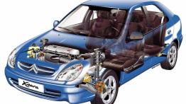 Citroen Xsara II Hatchback - schemat konstrukcyjny auta