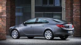 Opel Insignia Hatchback - widok z tyłu