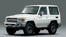 Trzy odsłony Toyoty Land Cruiser – dla prezesa, dla aktywnej rodziny, do ciężkiej pracy 