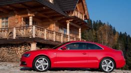 Audi A5 Coupe Facelifting w Szczawnicy - lewy bok
