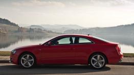 Audi A5 Coupe Facelifting w Szczawnicy - lewy bok