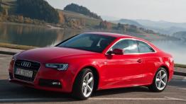 Audi A5 Coupe Facelifting w Szczawnicy - lewy bok