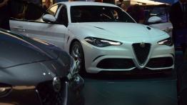 Frankfurt Motor Show 2015 - samochody seryjne - galeria redakcyjna - inne zdjęcie